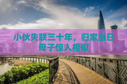 小伙失联三十年，归家当日母子惊人相似