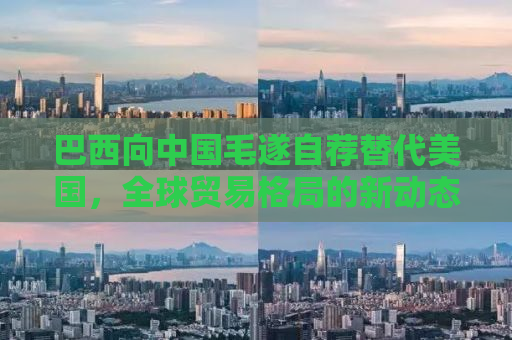 巴西向中国毛遂自荐替代美国，全球贸易格局的新动态