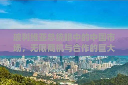 玻利维亚总统眼中的中国市场，无限商机与合作的巨大潜力