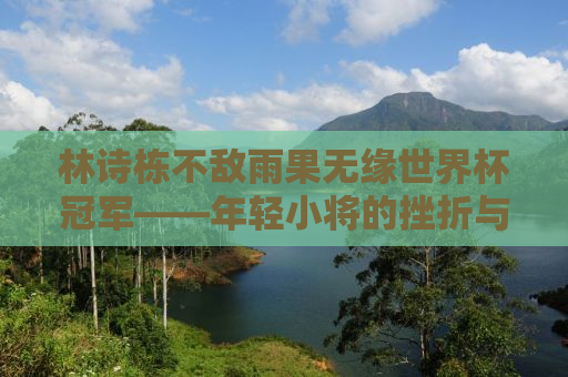 林诗栋不敌雨果无缘世界杯冠军——年轻小将的挫折与成长