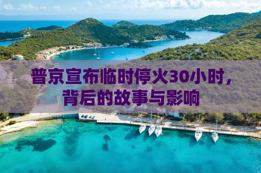 普京宣布临时停火30小时，背后的故事与影响
