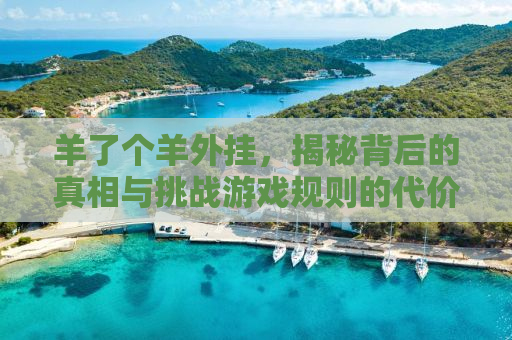 羊了个羊外挂，揭秘背后的真相与挑战游戏规则的代价