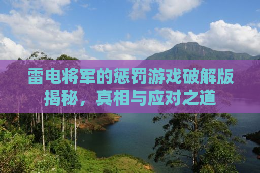 雷电将军的惩罚游戏破解版揭秘，真相与应对之道