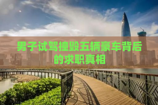 男子试驾撞毁五辆豪车背后的求职真相
