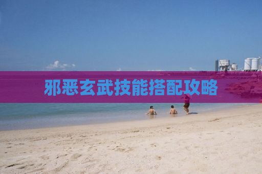 邪恶玄武技能搭配攻略