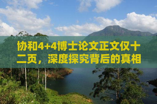 协和4+4博士论文正文仅十二页，深度探究背后的真相与挑战