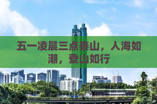 五一凌晨三点泰山，人海如潮，登山如行