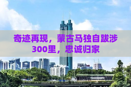 奇迹再现，蒙古马独自跋涉300里，忠诚归家