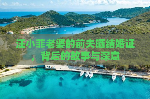 汪小菲老婆的前夫晒结婚证，背后的故事与深意