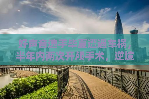 好声音选手毕夏遭遇车祸，半年内两次开颅手术，逆境中展现坚韧生命力