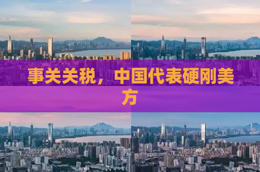 事关关税，中国代表硬刚美方
