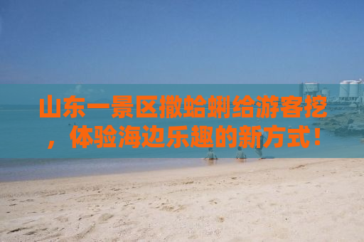 山东一景区撒蛤蜊给游客挖，体验海边乐趣的新方式！