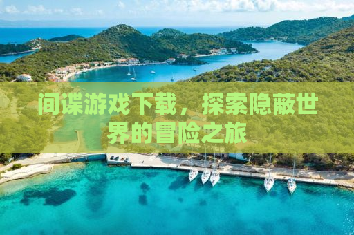 间谍游戏下载，探索隐蔽世界的冒险之旅